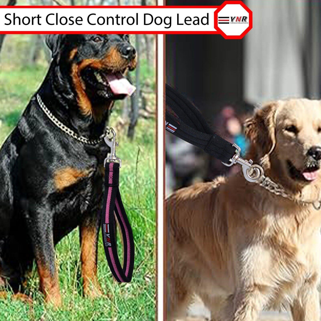 10" Heavy Duty Short Dog Training Lead Leash Grab Handle Close / Traffic Control 25mm Wide