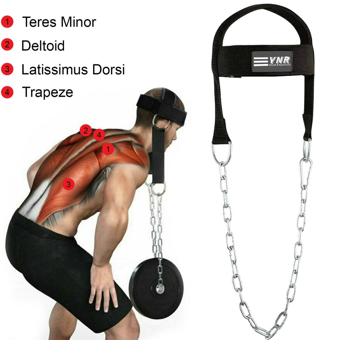 Head Harness Neck Muscles Builder Belt Dipping Weight Lifting Gym Exercise